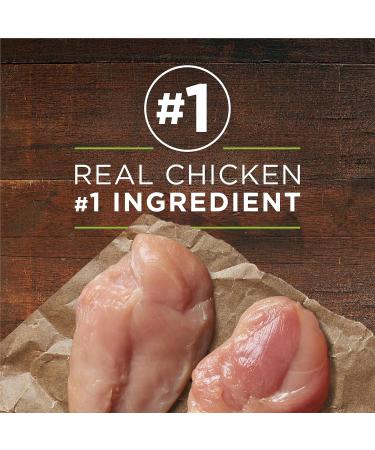 Purina ONE Classic Ground True Instinct Wet Dog Food Chicken & Duck - 368 g Can (12 Pack) - Buy Online on GoSupps.com