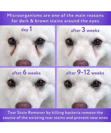 Arava Tear Stain Remover for Dogs & Cats - Natural & Effective Eye Cleaner - Buy Online on GoSupps.com