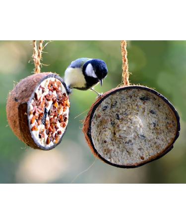 DoBar 10x Coconut Bird Feed - 5 Varieties for All-Year Feeding - 2kg Wild Bird Food in Half Coconut Shells - Buy Online on GoSupps.com