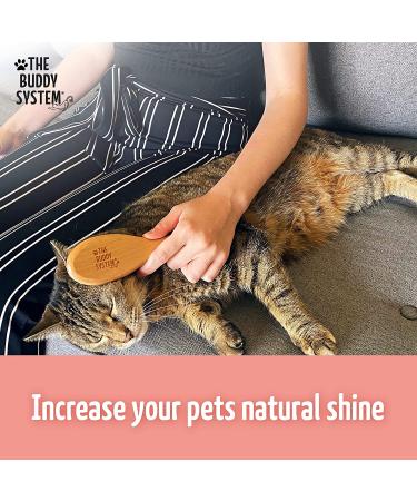 Professional Grade Cat Brush with Boar Bristle and Wooden Handle - Reduce Shedding and Promote Healthy Shine - 1 Pack - Buy Online on GoSupps.com