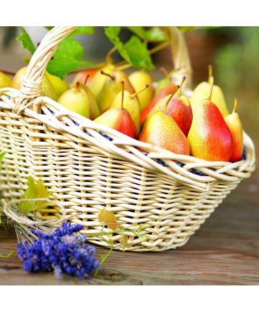 Balsamic Pear and Lavender Vinegar 200ml - 3* Great Taste Award Winner - Buy Online on GoSupps.com