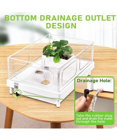 Orlushy Turtle Tank: Anti-Escaping Reptile Terrarium with Drainage Outlet | Ideal for Turtles, Crayfish, Crab, and Lizard | Multi-Functional Design - Buy Online on GoSupps.com