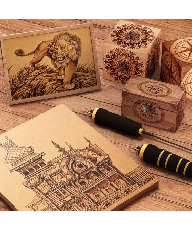 60W Wood Burning Kit with 24 Tips, Dual Pen Pyrography Tool for Teen Artists - Perfect Gift for Creative Teens | Black Grey - Buy Online on GoSupps.com