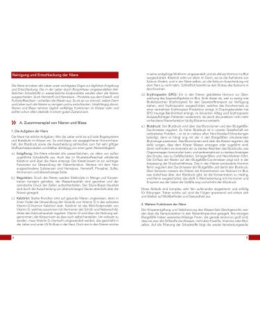 Wellnest Organic Goldenrod Concentrate 50ml - Kidney-Bladder Tonic (Solidago) with Instructions | International Shipping Available - Buy Online on GoSupps.com