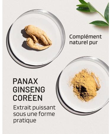 Panax Korean Red Ginseng - Extra Strong 12 500 mg - 60 Capsules - Ginseng Root Extract with 20% Ginsenosides - Vegan - Buy Online on GoSupps.com