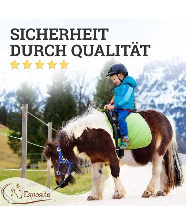 Esposita Riding Strap with 2 Leather Handles - Versatile Lunging & Vaulting Belt for Children & Riders - Wooden Horse Accessories (KB/XFull Uni Schwarz) - Buy Online on GoSupps.com