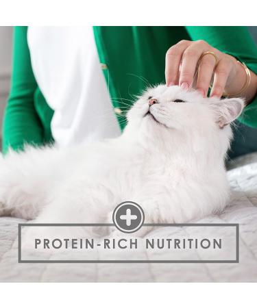Purina Fancy Feast Gravy Wet Cat Food Variety Pack - Poultry & Beef Grilled Collection | 24 x 3oz Cans - Buy Online on GoSupps.com