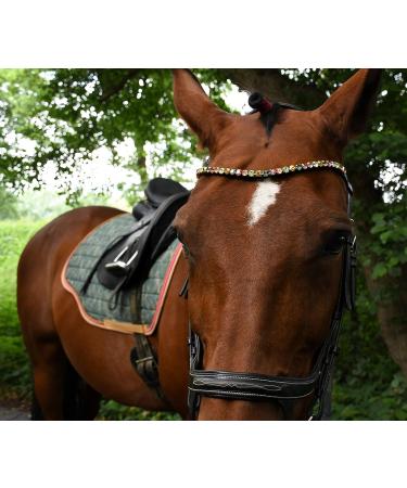Shop Happiness Hucks Colorful Horses Forehead Straps 'Paradise' - Pink Green & Gold | Curved Narrow Design | Premium VB Leather in Black - Buy Online on GoSupps.com