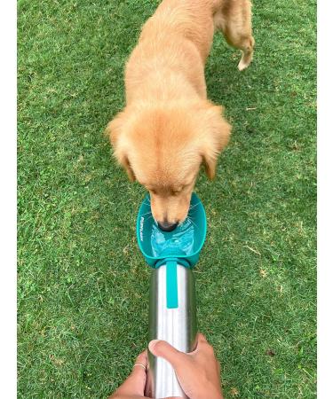 Puflask Large Dog Water Bottle - 800/1200 ml Stainless Steel | Portable & Leak Proof Pet Dispenser | Ideal Travel Bowl for All Breeds - Quetzal Green 40 Oz - Buy Online on GoSupps.com