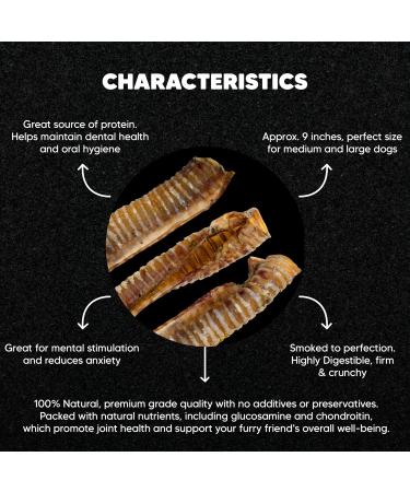 Premium Feeders Beef Trachea for Dogs 20 Smoked Beef Tracheas Approx 9 - Made in Canada - Natural Loyalty Dog Treats for Large Dogs - Healthy Dog Chew Nutritional Tracheas for Joint Health - Buy Online on GoSupps.com