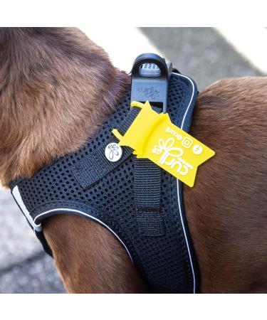Curli D-Ring Buckle Vest Harness Mandarin XS - Premium International Shipping for Your Pet - Buy Online on GoSupps.com