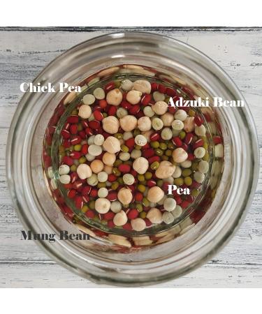 VERDANT REPUBLIC Organic Protein Power Sprouting Seeds Mix 500g | Non GMO Superfood Microgreens | Easy to Sprout with Peas Chick Pea Mung & Adzuki Beans - Buy Online on GoSupps.com