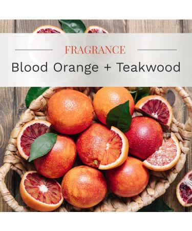 Essential Elements Blood Orange & Teakwood Scented Candle - 9 oz Aromatherapy Candle with 50 Hours Burn Time | International Shipping Available - Buy Online on GoSupps.com