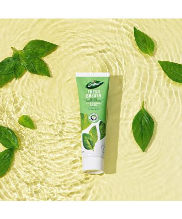  Dabur Dabur Organic Basil Toothpaste for Fresh Breath 100ml - Natural Oral Care with Organic Basil Extracts - Refreshing Mint Flavour - Promotes Oral Health and Hygiene - Buy Online on GoSupps.com