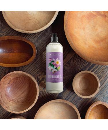 Caldrea Dish Soap  Biodegradable Dishwashing Liquid Made with Soap Bark and Aloe Vera  Orchid Pink Lotus Scent  16 oz - Buy Online on GoSupps.com