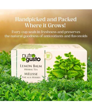 NutroGusto Tea Lemon Balm 40 g - Buy Online on GoSupps.com