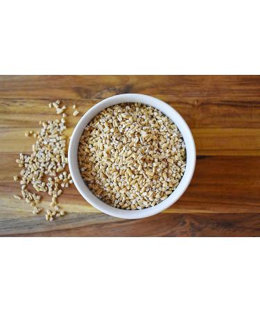Anthony's Premium Steel Cut Oats 3 lb - Gluten Free Non GMO Irish Oatmeal - Whole Grain - 3 Pound Pack - Buy Online on GoSupps.com