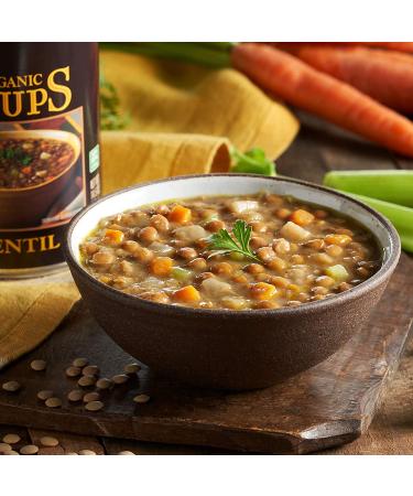 Organic Lentil Vegan Soup 14.5 oz (Pack of 12) - Gluten-Free and Delicious - Buy Online on GoSupps.com