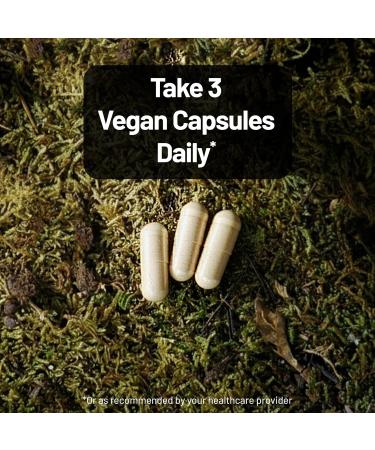 NatureWise Mushroom Complex - with Organic Lion's Mane + Reishi & Cordyceps Sinensis - Lions Mane Supplement with Organic Mushrooms - Vegan - Non-GMO - USA Manufactured - 90 Capsules 30-Day Supply  - Buy Online on GoSupps.com