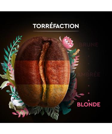 BLACK CARD - Coffee Bean Carte Noir "Secrets de Nature" - Congusta & Mundo Novo - Rainforest Alliance Certified - Pack of 1 k - Buy Online on GoSupps.com