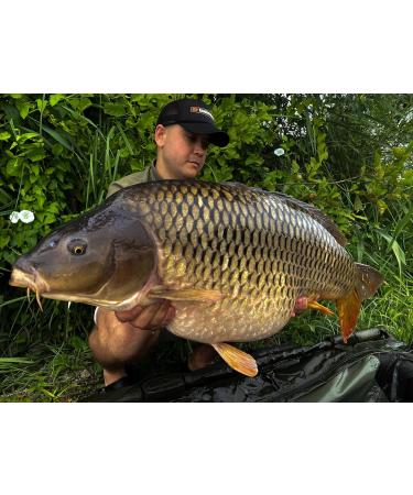 Tandem Baits Limpit Leadcore 45 LB 10m - Braided Fishing Cord for Carp Rods | Camouflage Fishing Accessories for Pros & Hobby Anglers - Buy Online on GoSupps.com