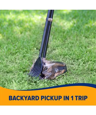 ARM & HAMMER Swivel Bin & Rake Pooper Scooper - Buy Online on GoSupps.com