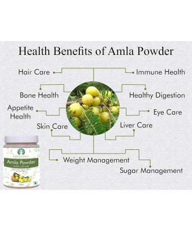 AYURVEDASHREE Amla Fruit Powder 100g - Raw Non GMO Antioxidant Vitamin C Vegan - 100% Raw from India - Buy Online on GoSupps.com