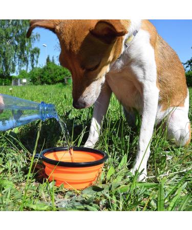 Buy PhoneNatic Foldable Silicone Dog Bowl - 350ml Travel Bowl for Dogs & Cats with Carabiner | Black Edition - Durable & Portable - International Shipping Available - Buy Online on GoSupps.com