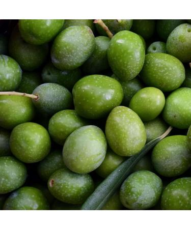 Premium Quality Nocellara Olives from Sicily Large Italian Green Olives with Stone Sweet Buttery Flavour in Brine Tub of 5kg Drained Weight of 3.5kg - Buy Online on GoSupps.com