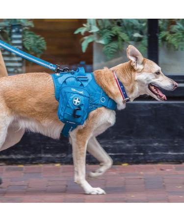 KURGO RSG First Aid Set for Dogs | 49-Part Kit with Instructions | Compatible with RSG Whirls & Belts - Essential Blue First Aid Kit - Buy Online on GoSupps.com