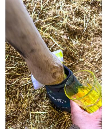 GK's Hoof Shoe - Healthy Horse Shoes from Austria | Non-Slip Hard Rubber Sole & Natural Rubber Design - Buy Online on GoSupps.com