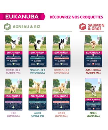 Eukanuba Adult Dog Dry Food For Large Breed Salmon & Barley 12kg - Buy Online on GoSupps.com
