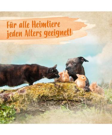 Ida Plus Wonders: Unique Wound Complex for Dogs Cats & Horses Anti-Inflammatory Skin Regeneration Spray with Probiotics Painless Healing Solution - Buy Online on GoSupps.com