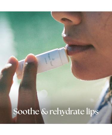Cooling Lip Balm with Organic Peppermint & Shea Butter - Hydrating Chapstick for Sunburn Relief - 2 Pack | Vitamin E Infused After Sun Care - Buy Online on GoSupps.com