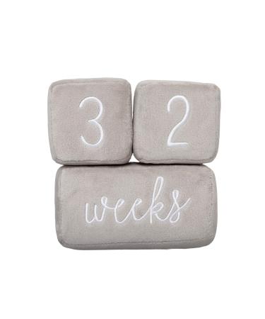 Pearhead Baby Plush Photo Sharing Milestone Age Blocks, Picture Prop, Set of 3 Blocks, Gray Gray Plush Baby Age Blocks - Buy Online on GoSupps.com