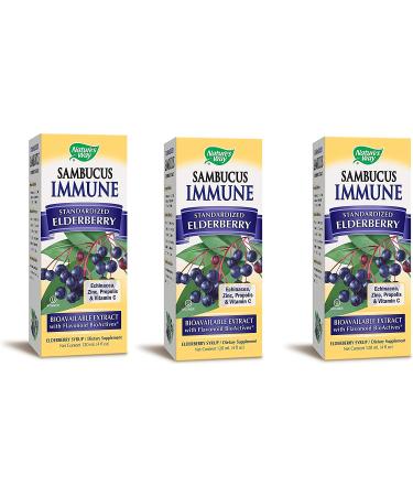 Nature's Way Sambucus Elderberry Syrup 4 fl oz | Boost Immune Health - Buy Online on GoSupps.com