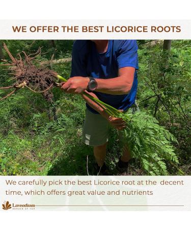 Lavendium Premium 135 Licorice Tea Bags 100% Natural & Pure from Licorice Root Warming and Natural Sweet Licorice Herbal Tea Eco-Conscious Tea Bags No Additives No Caffeine Vegan Licorice 135 Bags - Buy Online on GoSupps.com