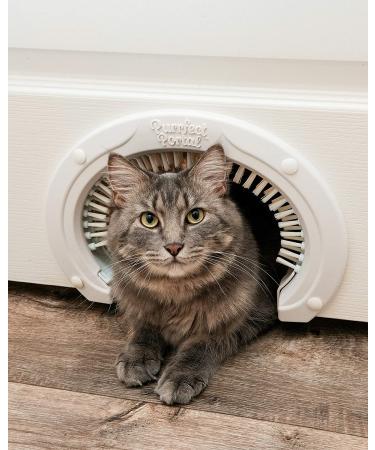 Large Cat Door with Grooming Brush - Easy Install for Adult Cats up to 20 lbs - Buy Online on GoSupps.com