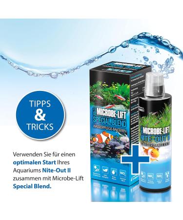 Microbe Lift Nite-Ou II | Active Starter Bacteria for Aquariums | Fast & Safe for Fish Stock | 100% Organic | 236ml (8oz) - Buy Online on GoSupps.com