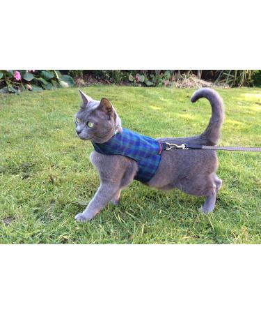 Mynwood Cat Jacket/Harness Black Watch Tartan Adult Cat - Buy Online on GoSupps.com