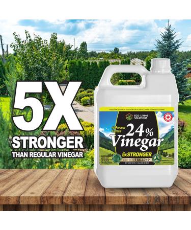 Eco Living Solutions 24% Pure Vinegar | For Home & Garden | 5X Stronger Than Vinegar | Concentrated Industrial Grade Cleaning Vinegar | Bleach Ammonia and Harmful Chemical Alternative - 1 Gallon - Buy Online on GoSupps.com