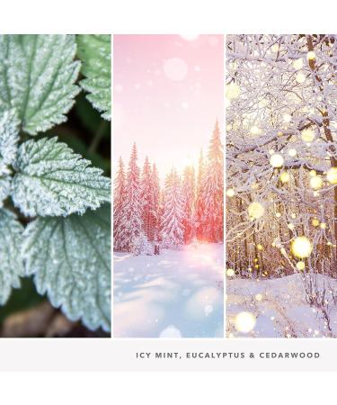 Yankee Candle Snow Globe Wonderland Large Jar Candle - 150 Hours Burn Time - Perfect Gifts for Women - Buy Online on GoSupps.com