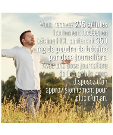 G lules de b ta ne HCl 275 g lules 1400 mg par dose journali re B ta ne hydrochloride en poudre sous forme de g lules V gan - Buy Online on GoSupps.com