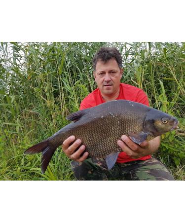 Tandem Baits MF Diffusion Micro Boilies Carp Fishing Bait 8mm 20g - Buy Online on GoSupps.com