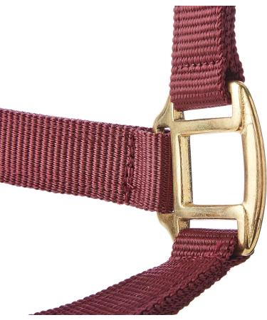 Rhinegold Nylon Halter for Shetland Ponies - Burgundy | Premium Quality & Fast International Shipping - Buy Online on GoSupps.com