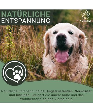 Pfotengut Relax Tablets - Natural Dog Sedative with Taigawurzel Valerian & Hemp | 120 Made in Germany | 2023 Improved Formula - Buy Online on GoSupps.com