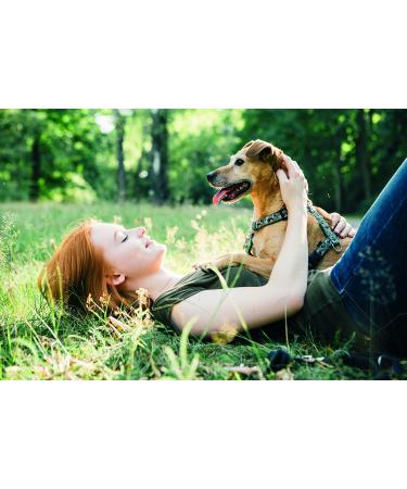 Dokas Chewy Roll with Chicken 1 m (8 x 315 g) - Buy Online on GoSupps.com