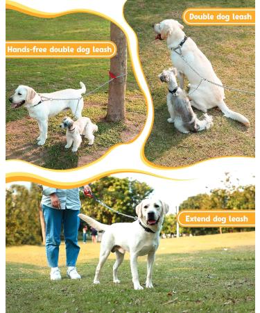 Double Dog Heavy Duty Steel Chain Leash for 2 Dogs - Durable 3.5mm Thick 60cm Long Walking Lead - Buy Online on GoSupps.com