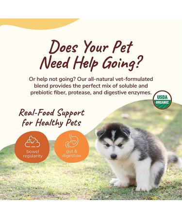 Kin+Kind Pumpkin Fiber Stomach & Bowel Support - 4 oz | Natural Digestive Health - Buy Online on GoSupps.com