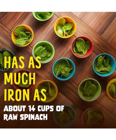 Flintstones Vitamins for Picky Kids + Iron Kids Multivitamin Gummies with Vitamin C D E B6 and Iron Gummy Vitamins Grape Flavored 60 Gummies 60 Count (Pack of 1) - Buy Online on GoSupps.com